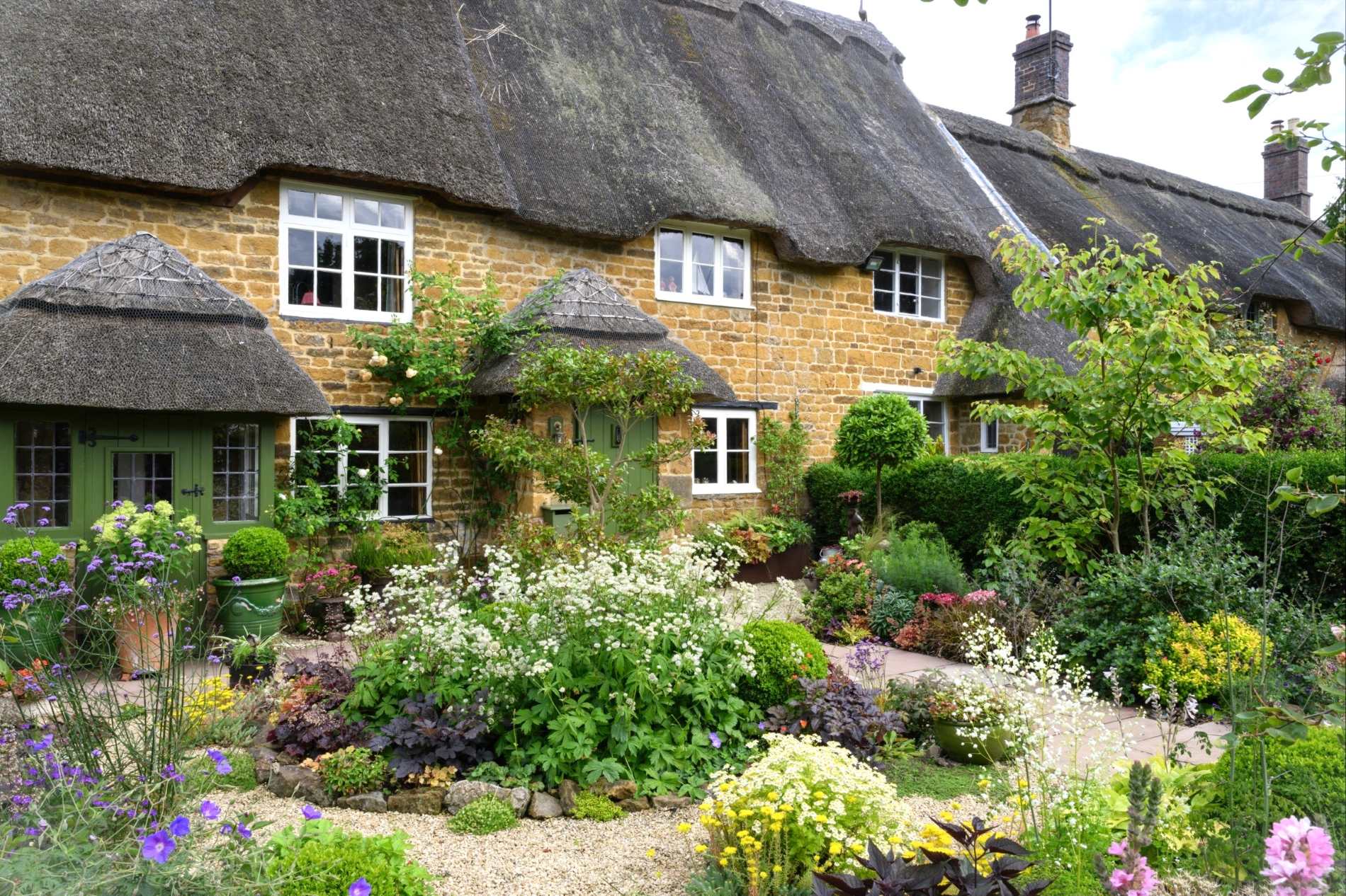 cottage garden